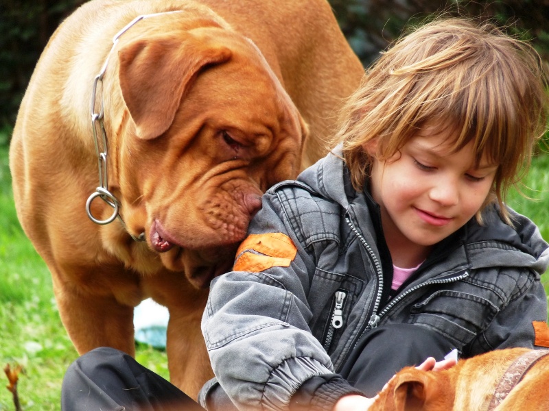 Tendres Moments avec Max